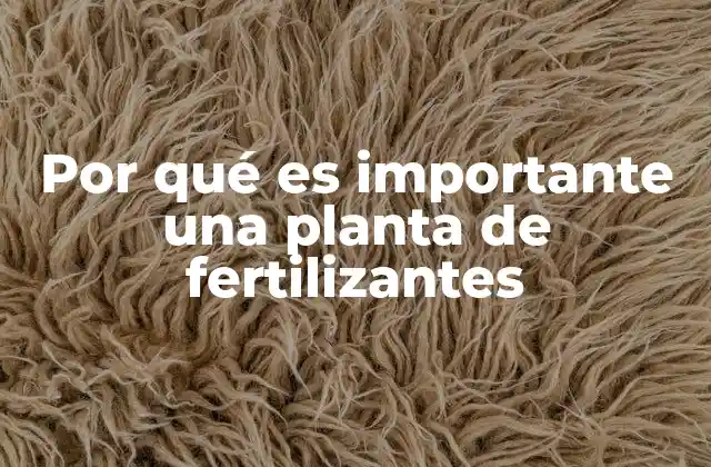 El impacto económico y social de las plantas productoras de nutrientes para el suelo