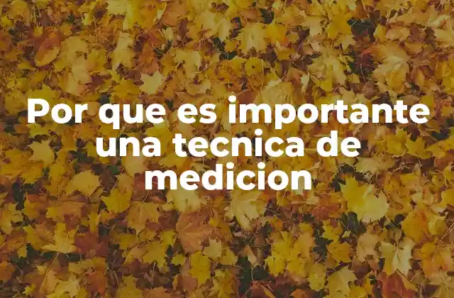 Por que es Importante una Tecnica de Medicion