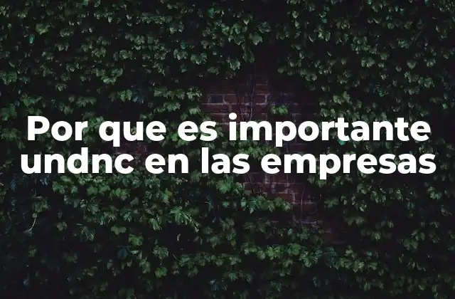 Por que es Importante Undnc en las Empresas