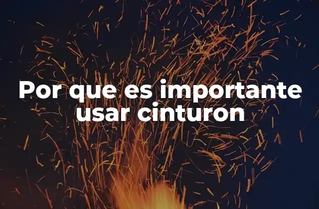 Por que es Importante Usar Cinturon