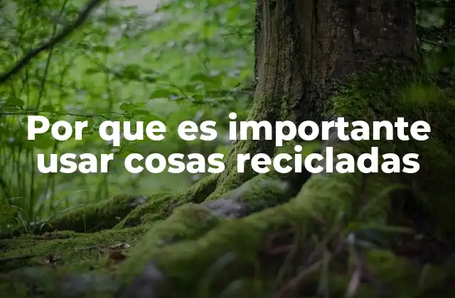 Por que es Importante Usar Cosas Recicladas