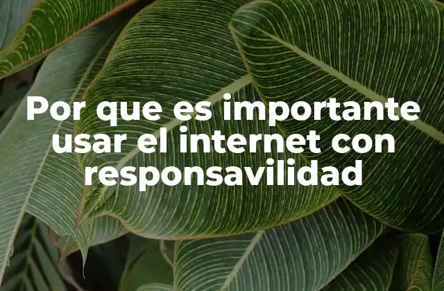 Por que es Importante Usar el Internet con Responsavilidad