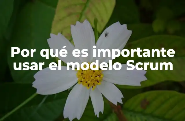 Ventajas de implementar una metodología ágil como Scrum
