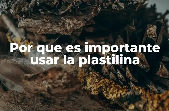 Por que es Importante Usar la Plastilina