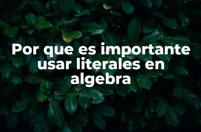 Por que es Importante Usar Literales en Algebra