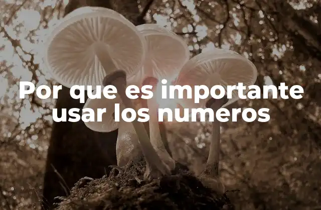 Por que es Importante Usar los Numeros
