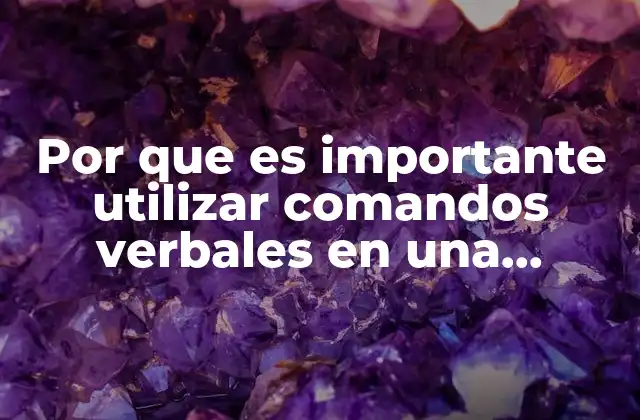 Por que es Importante Utilizar Comandos Verbales en una Detencion