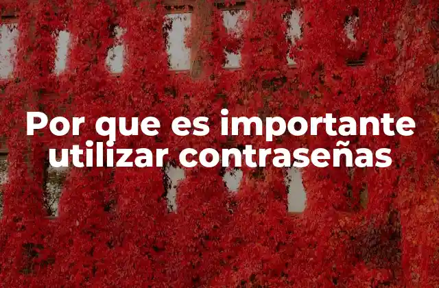 Por que es Importante Utilizar Contraseñas