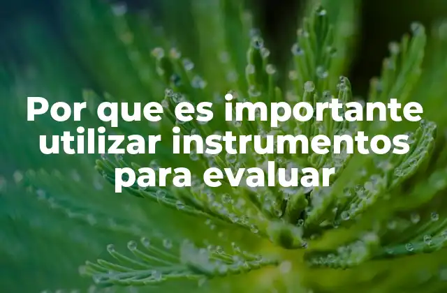 Por que es Importante Utilizar Instrumentos para Evaluar