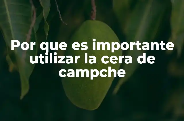 Por que es Importante Utilizar la Cera de Campche