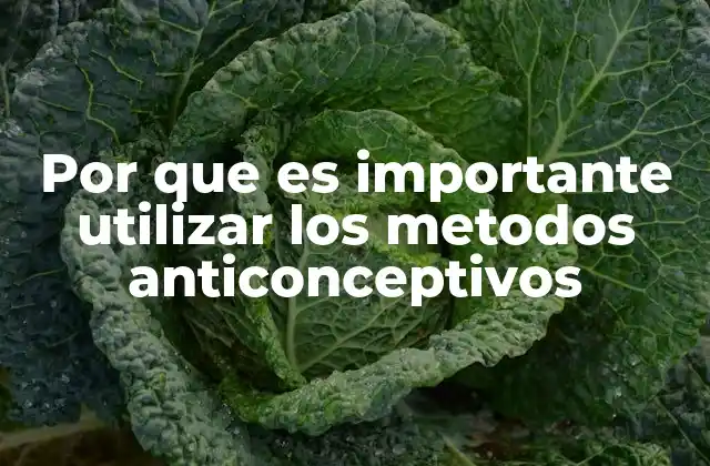 Por que es Importante Utilizar los Metodos Anticonceptivos