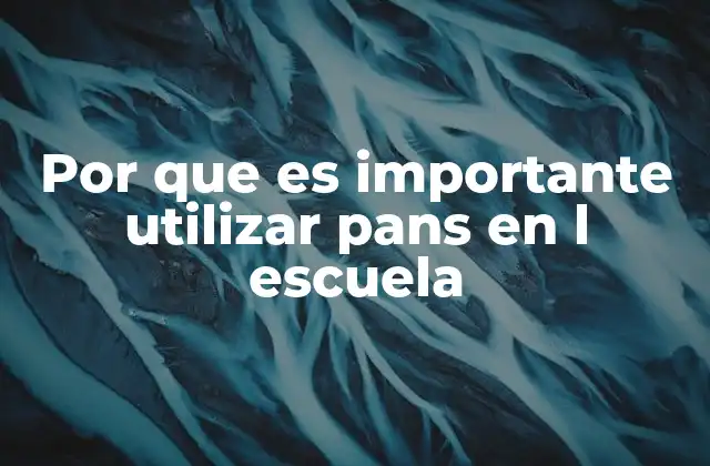 Por que es Importante Utilizar Pans en L Escuela
