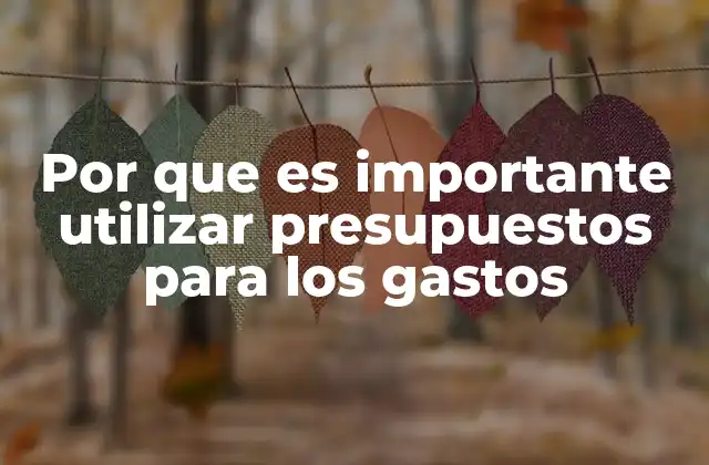 Por que es Importante Utilizar Presupuestos para los Gastos