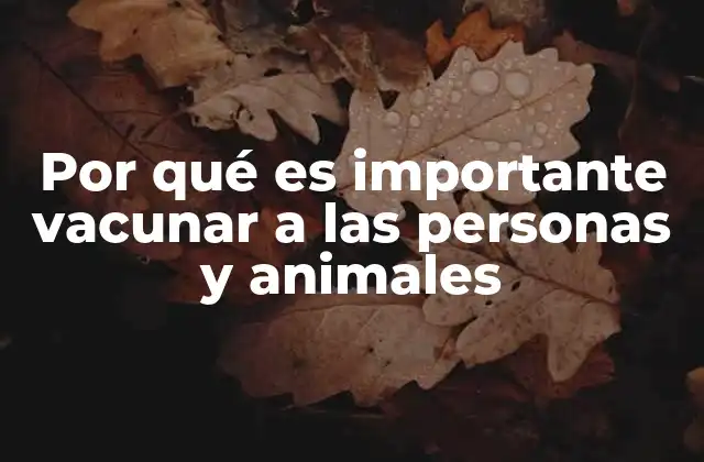 Por Qué es Importante Vacunar a las Personas y Animales 2 La salud pública y el impacto de la vacunación