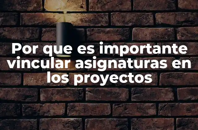 Por que es Importante Vincular Asignaturas en los Proyectos