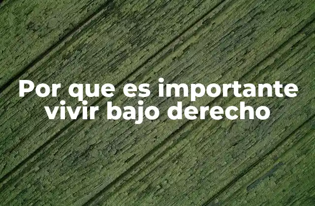 Por que es Importante Vivir bajo Derecho