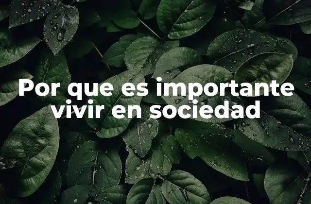Por que es Importante Vivir en Sociedad