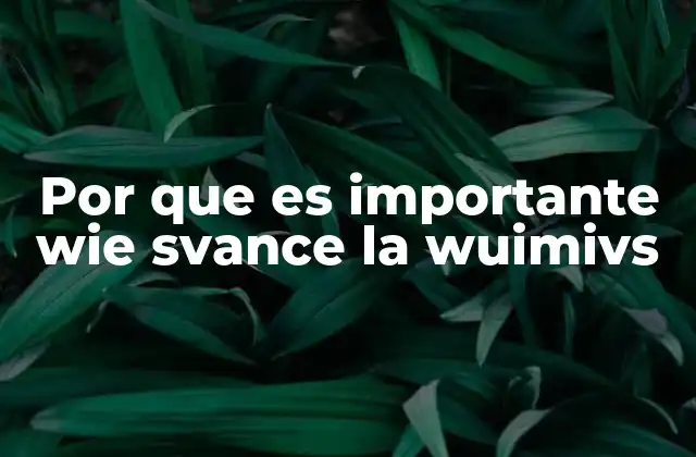 Por que es Importante Wie Svance la Wuimivs