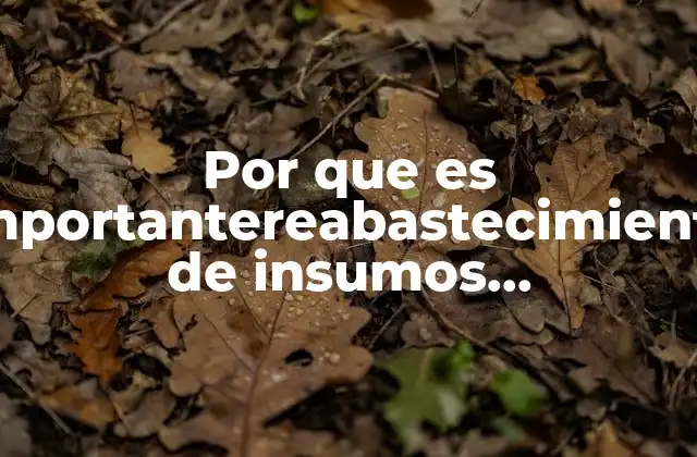 Por que es Importantereabastecimiento de Insumos Informaticos