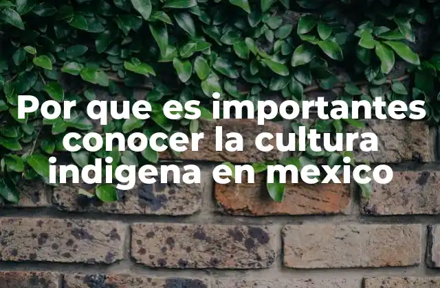 Por que es Importantes Conocer la Cultura Indigena en Mexico