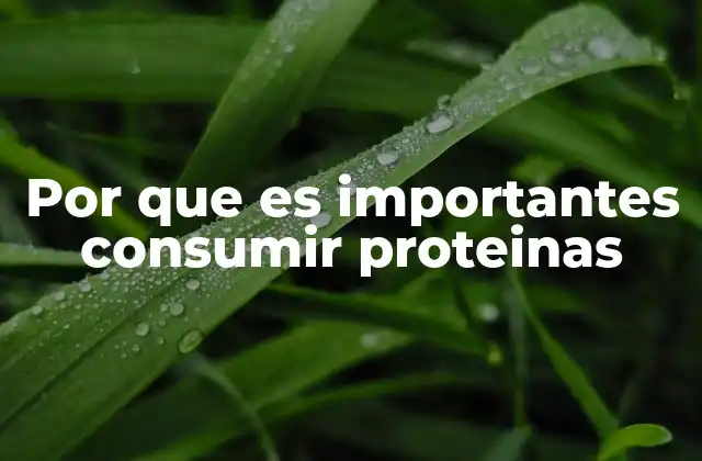 Por que es Importantes Consumir Proteinas