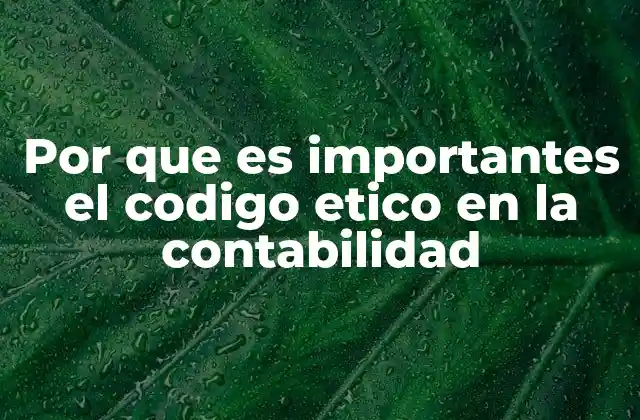 Por que es Importantes el Codigo Etico en la Contabilidad