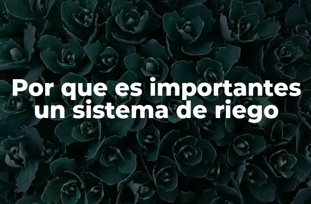 Por que es Importantes un Sistema de Riego