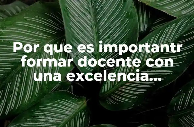 Por que es Importantr Formar Docente con una Excelencia Acdemica