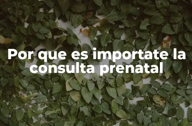 Por que es Importate la Consulta Prenatal