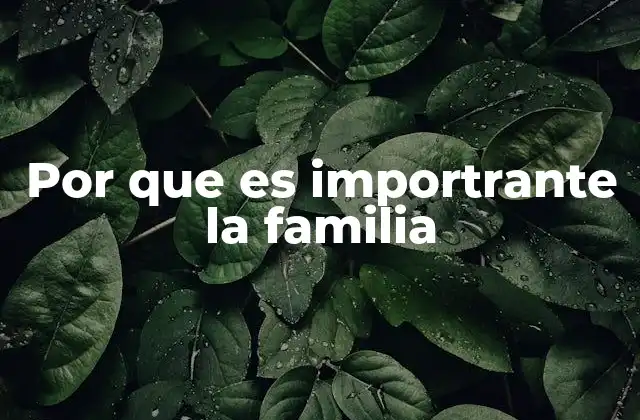 Por que es Importrante la Familia