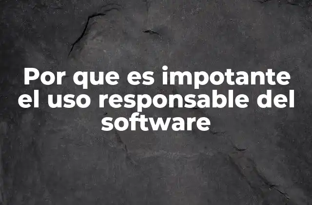 Por que es Impotante el Uso Responsable Del Software