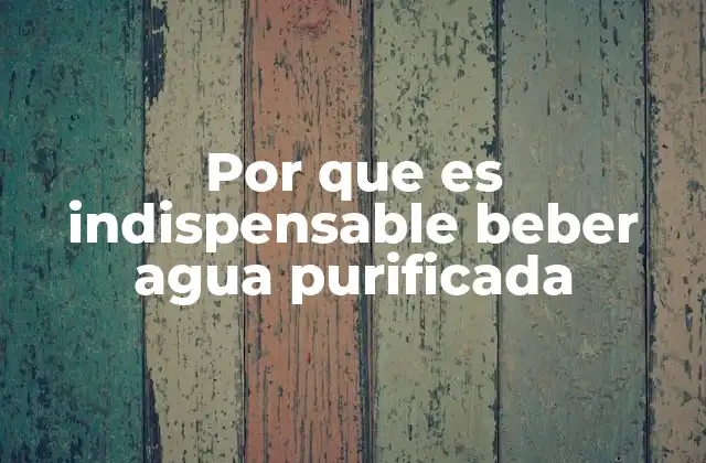 Por que es Indispensable Beber Agua Purificada