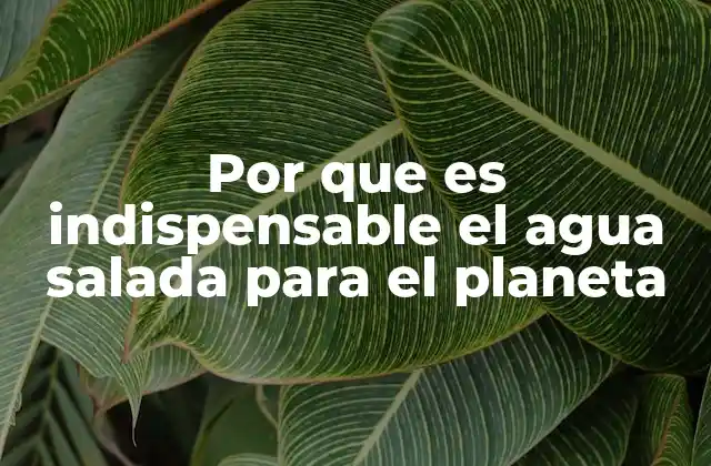 Por que es Indispensable el Agua Salada para el Planeta