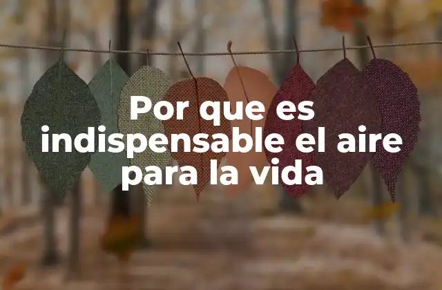 Por que es Indispensable el Aire para la Vida