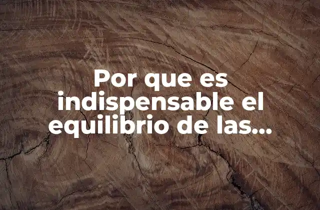 Por que es Indispensable el Equilibrio de las Fuerzas