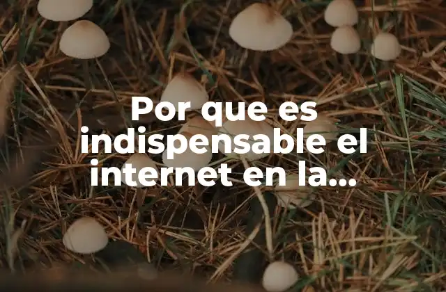 Por que es Indispensable el Internet en la Educacion