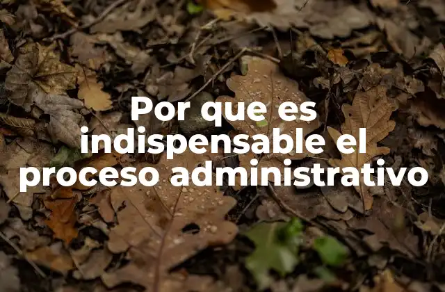 Por que es Indispensable el Proceso Administrativo