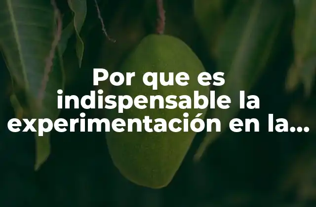 Por que es Indispensable la Experimentación en la Ciencia 2 La base de todo avance científico