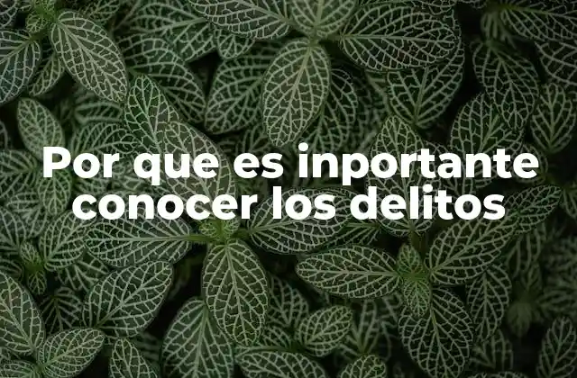 Por que es Inportante Conocer los Delitos