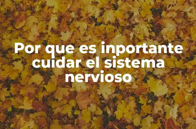 Por que es Inportante Cuidar el Sistema Nervioso