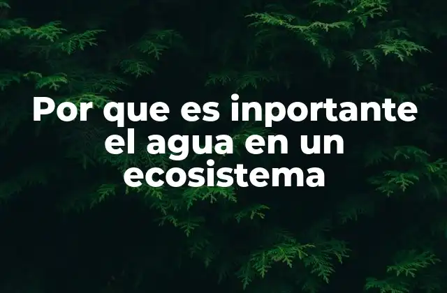 Por que es Inportante el Agua en un Ecosistema