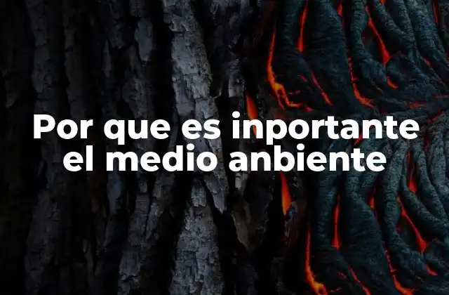 Por que es Inportante el Medio Anbiente