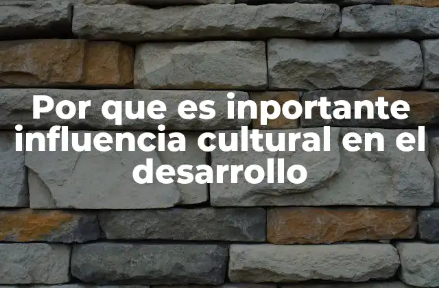 Por que es Inportante Influencia Cultural en el Desarrollo