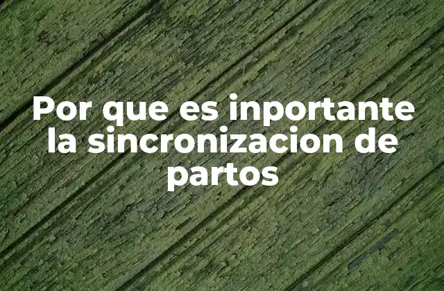 La planificación eficiente de la producción ganadera