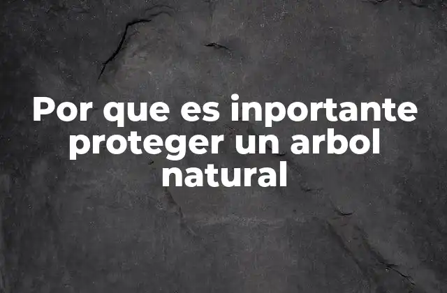 Por que es Inportante Proteger un Arbol Natural