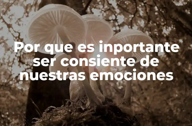 Cómo la autoconciencia emocional mejora nuestra vida cotidiana