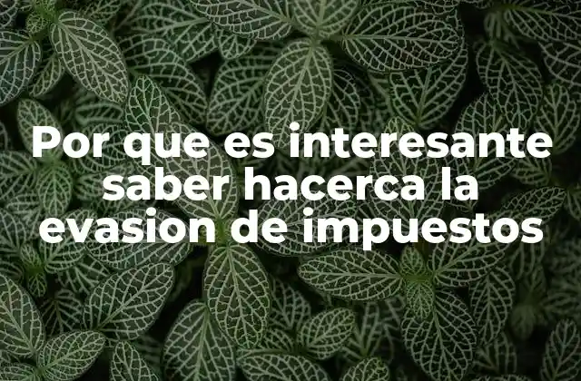 Por que es Interesante Saber Hacerca la Evasion de Impuestos 2 La importancia de la fiscalidad en la sociedad moderna