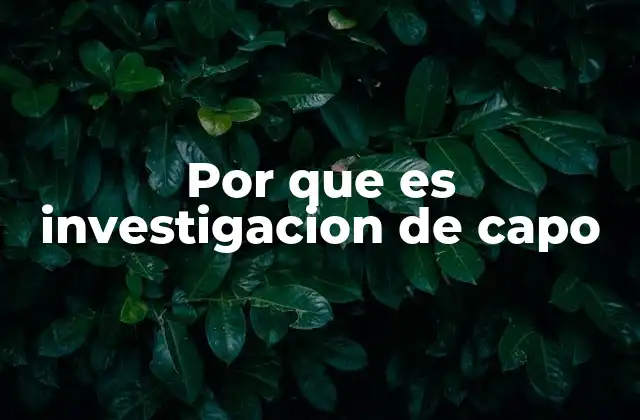 Por que es Investigacion de Capo 2 El desafío de rastrear al líder de una red criminal