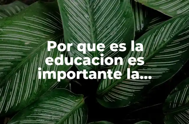 Por que es la Educacion es Importante la Evaluacion