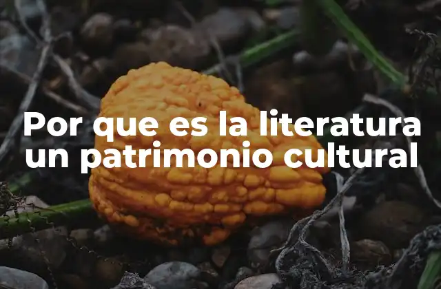 Por que es la Literatura un Patrimonio Cultural